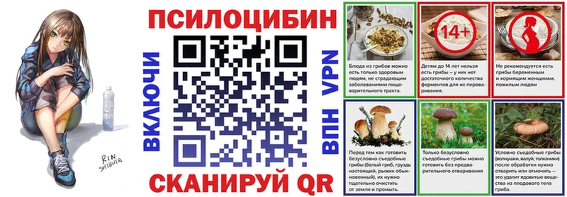Купить закладки  Городовиковск  Псилоцибиновые грибы мицелий 